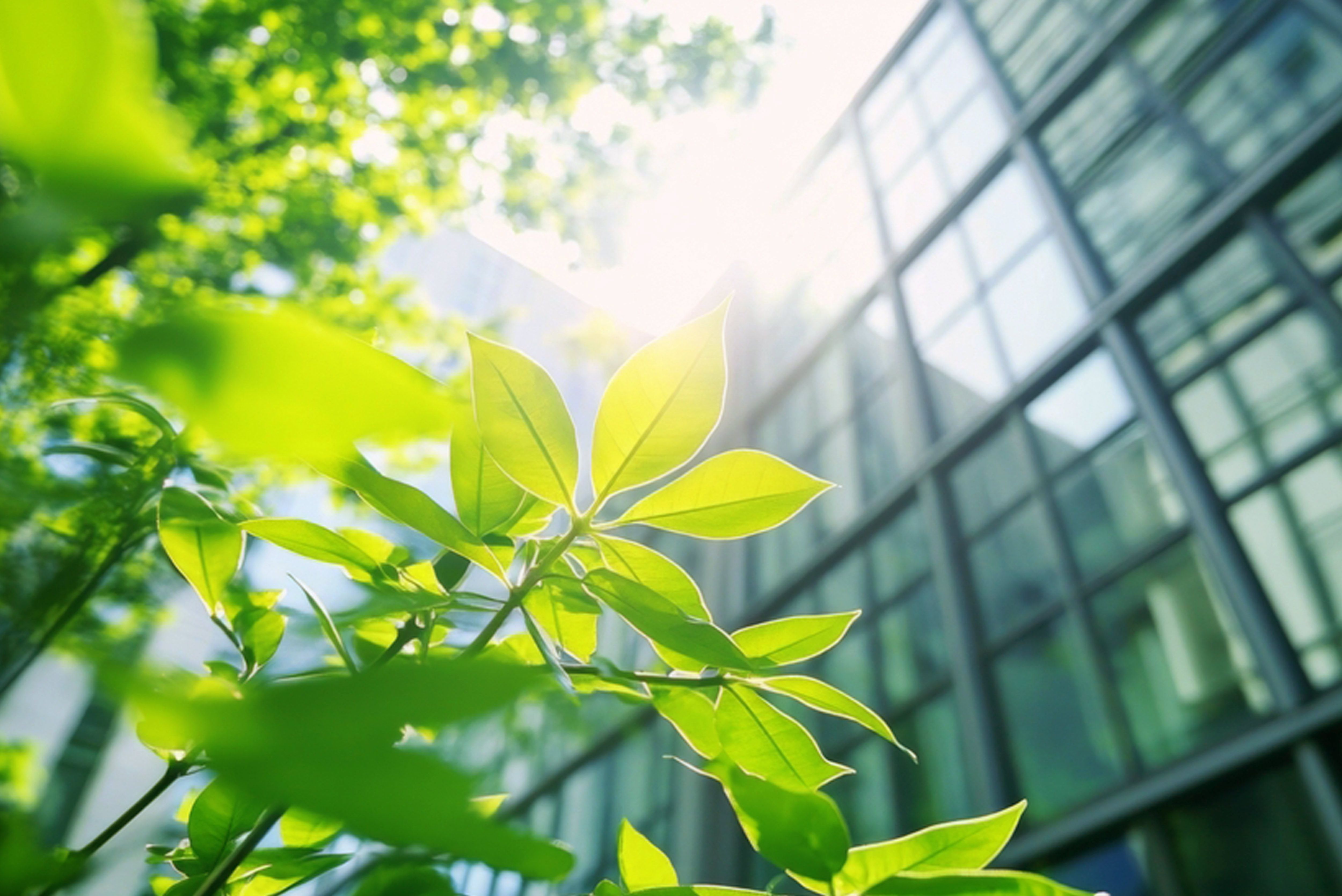 Shoonyata text and image block